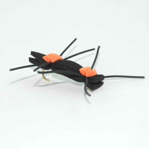 Black Chernobyl Ant