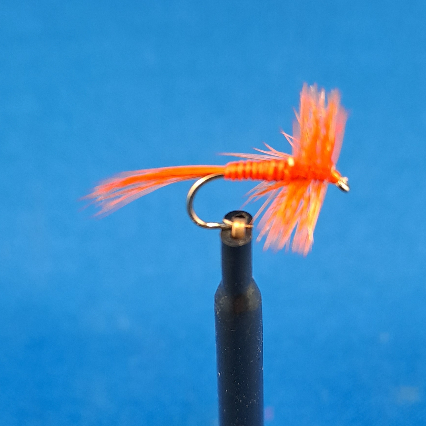 Orange Spinner