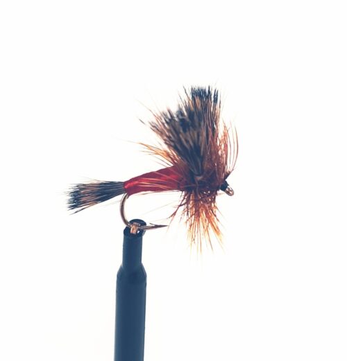 Red Wulff
